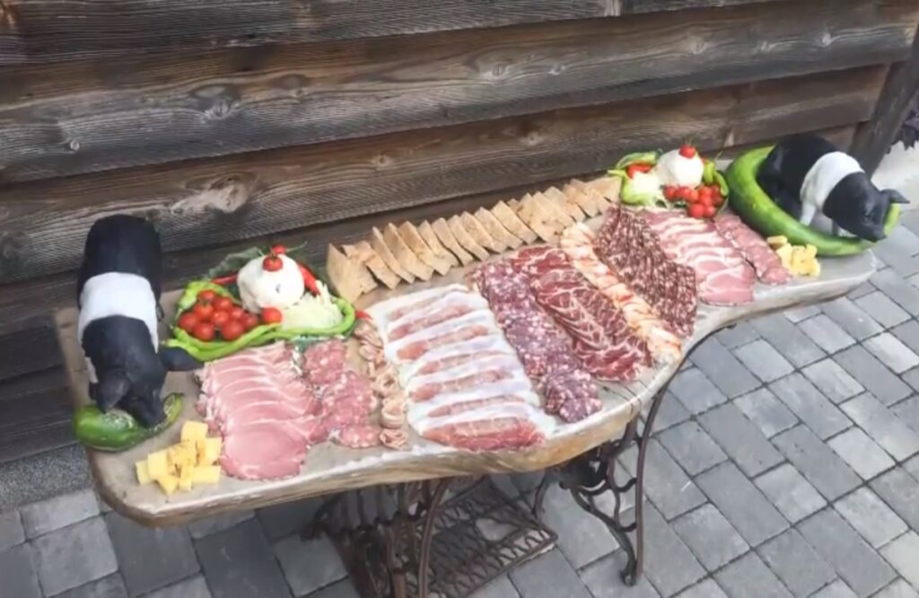 krškopoljski prašič
turistična kmetija
mesnine krškopljskega prašiča
meso
svinjina
domače
degustacija